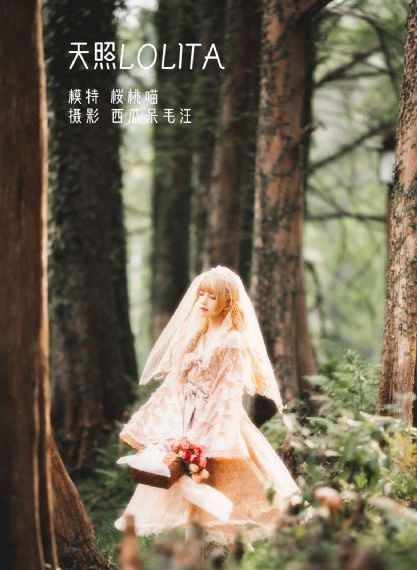钢琴教师电影